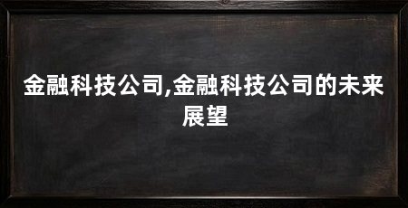 金融科技公司,金融科技公司的未来展望