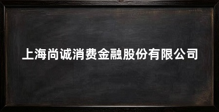 上海尚诚消费金融股份有限公司
