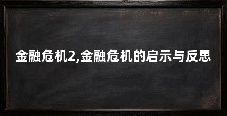 金融危机2,金融危机的启示与反思