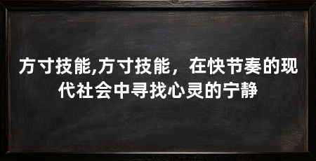 方寸技能,方寸技能,在快节奏的现代社会中寻找心灵的宁静