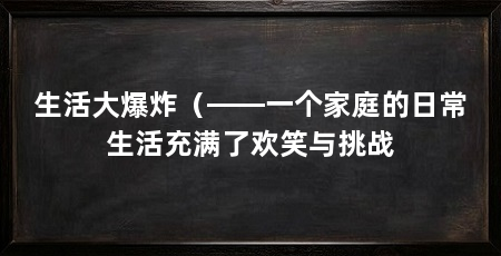 生活大爆炸（——一个家庭的日常生活充满了欢笑与挑战