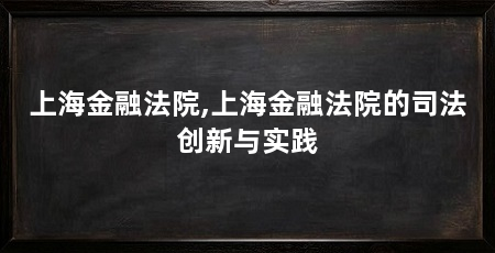 上海金融法院,上海金融法院的司法创新与实践
