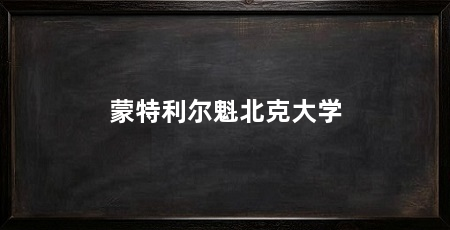 蒙特利尔魁北克大学