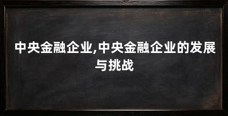 中央金融企业,中央金融企业的发展与挑战