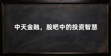 中天金融,股吧中的投资智慧