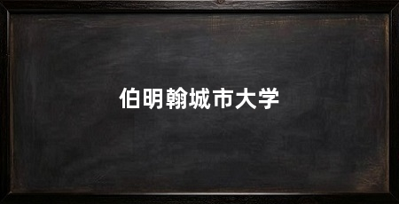 伯明翰城市大学