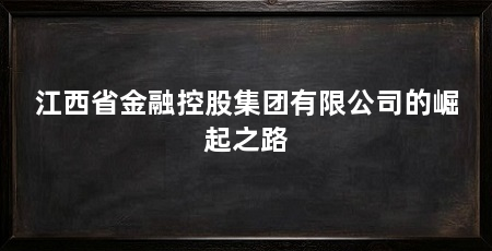 江西省金融控股集团有限公司的崛起之路