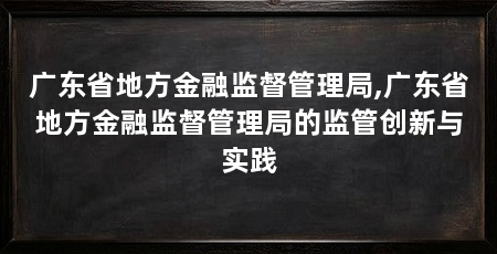 广东省地方金融监督管理局,广东省地方金融监督管理局的监管创新与实践