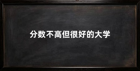 分数不高但很好的大学