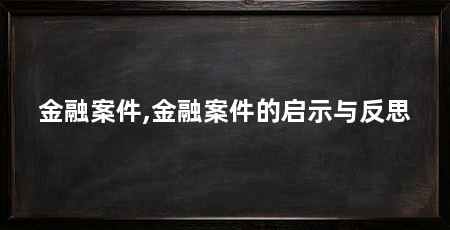 金融案件,金融案件的启示与反思