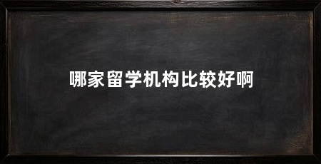 哪家留学机构比较好啊
