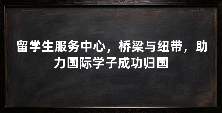 留学生服务中心,桥梁与纽带,助力国际学子成功归国