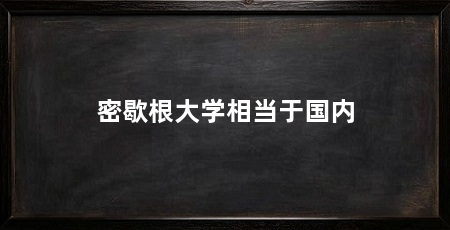 密歇根大学相当于国内