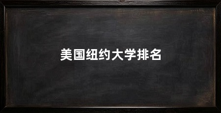 美国纽约大学排名