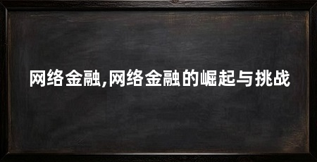网络金融,网络金融的崛起与挑战