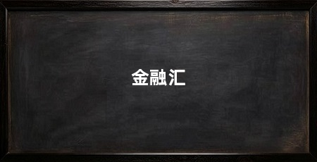 金融汇