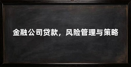 金融公司贷款,风险管理与策略