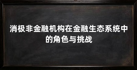 消极非金融机构在金融生态系统中的角色与挑战