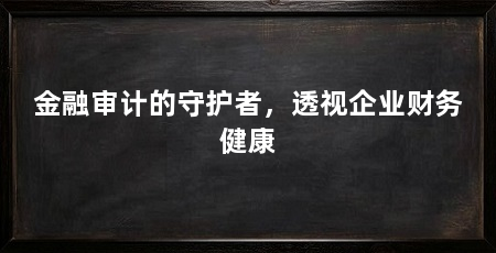 金融审计的守护者,透视企业财务健康