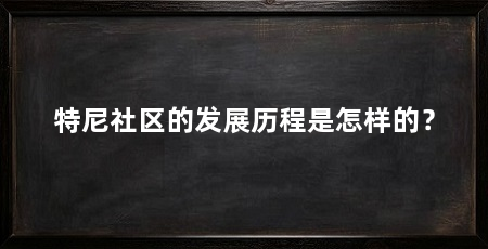 特尼社区的发展历程是怎样的？