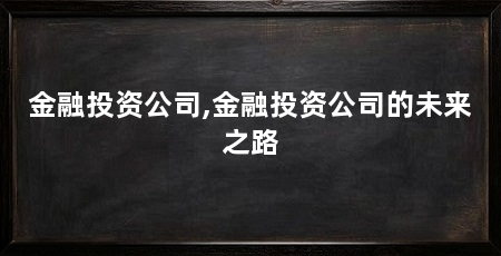 金融投资公司,金融投资公司的未来之路