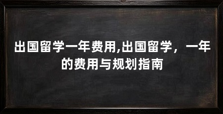 出国留学一年费用,出国留学，一年的费用与规划指南