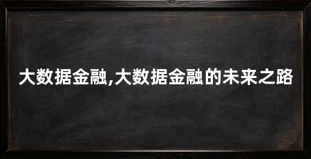 大数据金融,大数据金融的未来之路