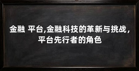 金融 平台,金融科技的革新与挑战，平台先行者的角色