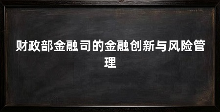 财政部金融司的金融创新与风险管理
