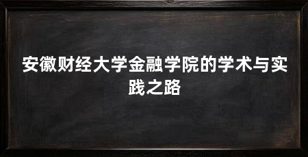 安徽财经大学金融学院的学术与实践之路