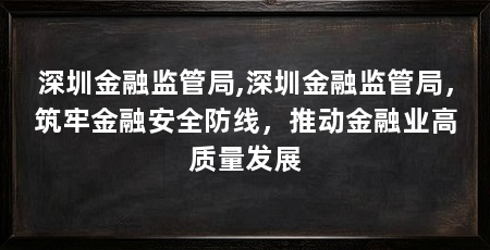深圳金融监管局,深圳金融监管局,筑牢金融安全防线,推动金融业高质量发展