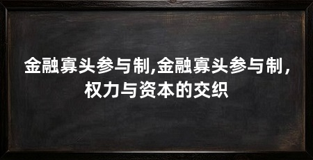 金融寡头参与制,金融寡头参与制，权力与资本的交织