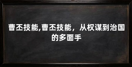 曹丕技能,曹丕技能,从权谋到治国的多面手