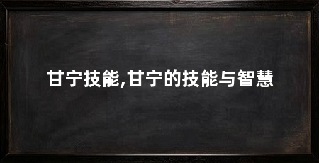 甘宁技能,甘宁的技能与智慧