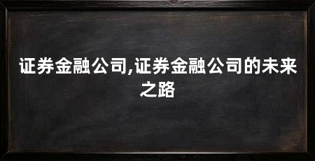 证券金融公司,证券金融公司的未来之路