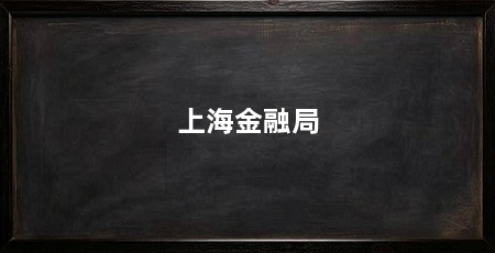 上海金融局