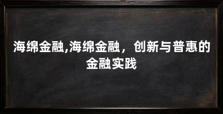 海绵金融,海绵金融，创新与普惠的金融实践