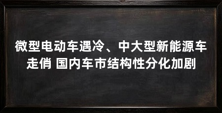 微型电动车遇冷、中大型新能源车走俏 国内车市结构性分化加剧
