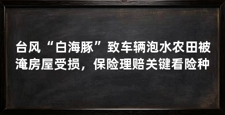 台风“白海豚”致车辆泡水农田被淹房屋受损，保险理赔关键看险种
