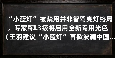 “小蓝灯”被禁用并非智驾亮灯终局,专家称L3级将启用全新专用光色(王羽建议“小蓝灯”再掀波澜中国生产力促进中心协会安装“小蓝灯”