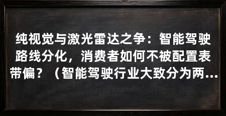 纯视觉与激光雷达之争：智能驾驶路线分化，消费者如何不被配置表带偏？（智能驾驶行业大致分为两大阵营，智能驾驶技术路线之争