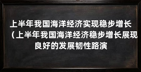上半年我国海洋经济实现稳步增长(上半年我国海洋经济稳步增长展现良好的发展韧性路演
