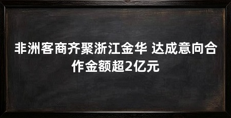 非洲客商齐聚浙江金华 达成意向合作金额超2亿元