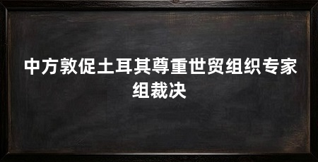 中方敦促土耳其尊重世贸组织专家组裁决