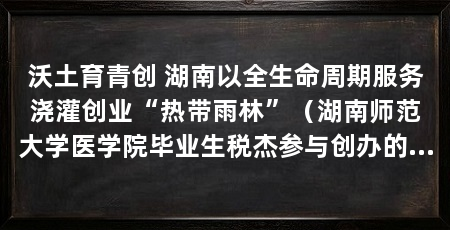 沃土育青创 湖南以全生命周期服务浇灌创业“热带雨林”（湖南师范大学医学院毕业生税杰参与创办的长沙湘之甜科技有限公司