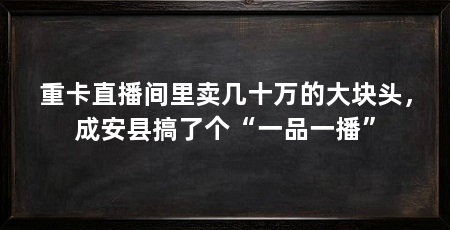 重卡直播间里卖几十万的大块头,成安县搞了个“一品一播”