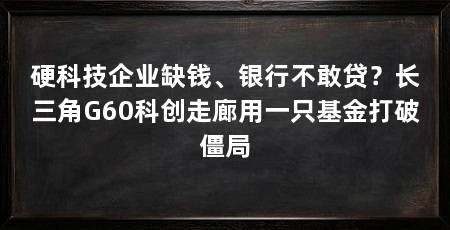 硬科技企业缺钱、银行不敢贷?长三角G60科创走廊用一只基金打破僵局