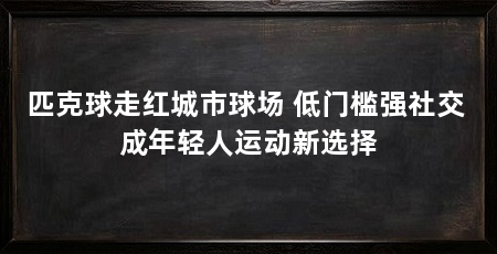 匹克球走红城市球场 低门槛强社交 成年轻人运动新选择