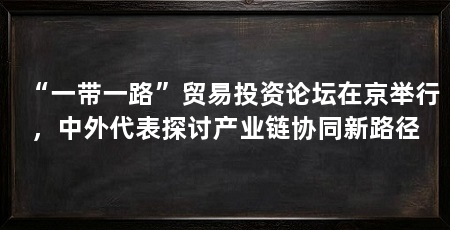 “一带一路”贸易投资论坛在京举行,中外代表探讨产业链协同新路径