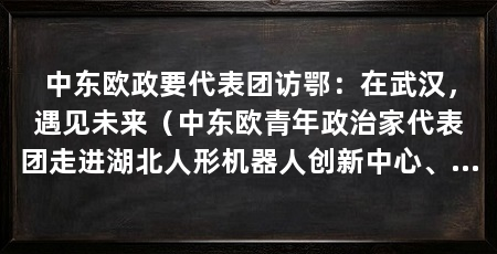 中东欧政要代表团访鄂:在武汉,遇见未来(中东欧青年政治家代表团走进湖北人形机器人创新中心、武汉产业创新发展研究院